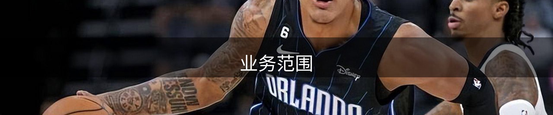 业务范围