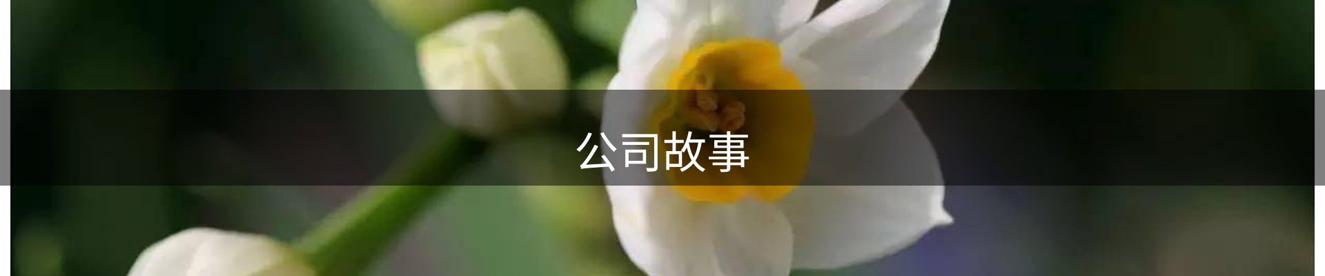 公司故事